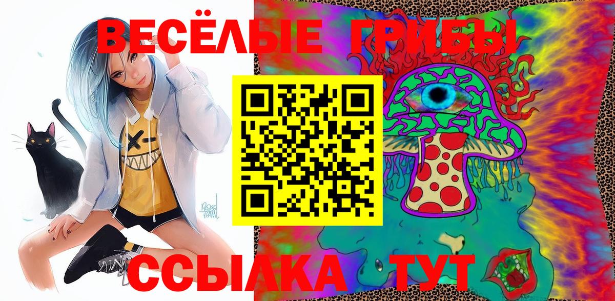 Кимовск  Галлюциногенные грибы ЛСД  Вход с VPN 